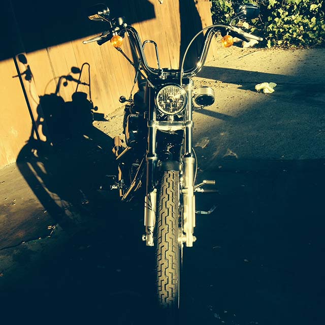 Sportster Speedo Side Mount Assembly Clear