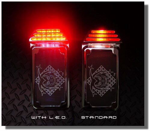 L.E.D. Upgrade Module