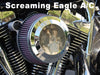 Twin Cam Air Cleaner Inserts on Screaming Eagle A/C