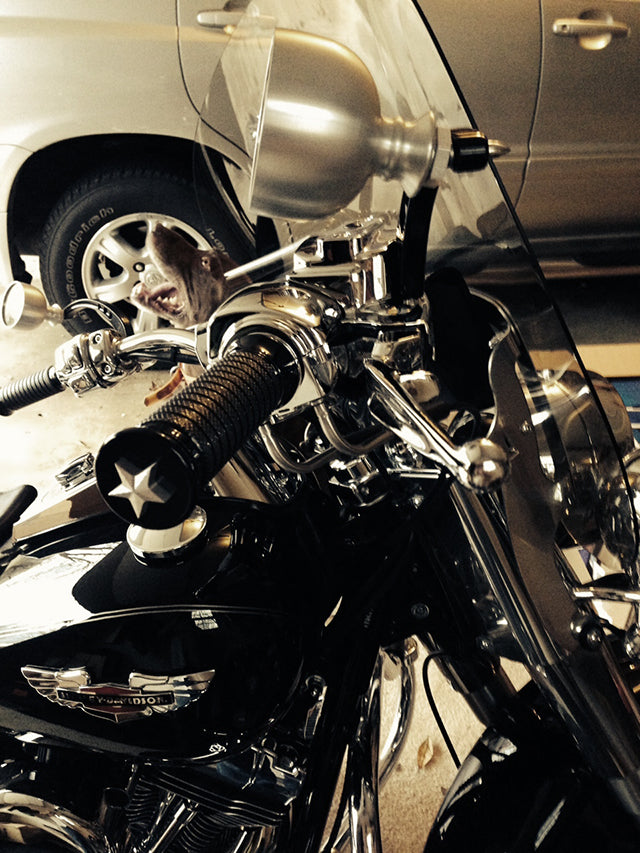 Joker Machine Bar Schooner Mirrors and NYC Choppers Grips