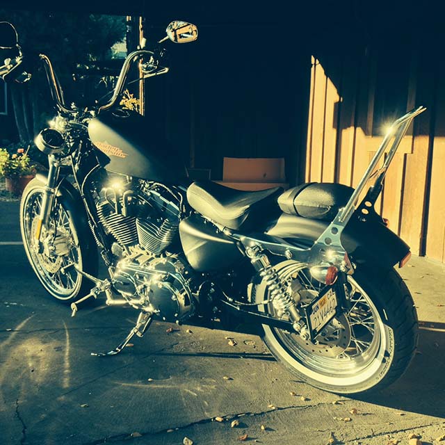 Sportster Speedo Side Mount Assembly Clear