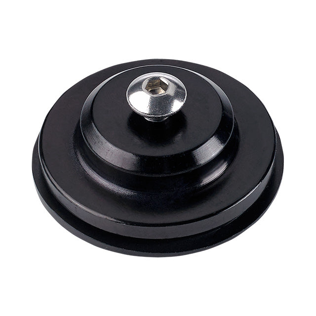 Triumph Ignition Hole Plug Black 