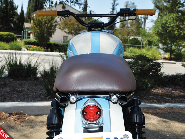 Triumph Shock Bolt Dress-up Kit Black