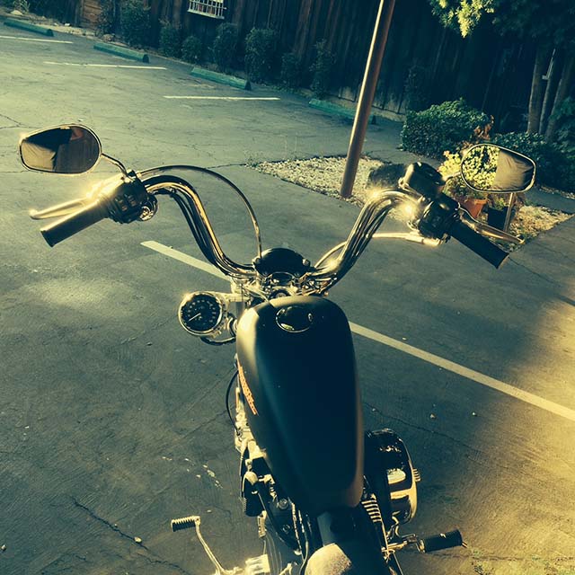 Sportster Speedo Side Mount Assembly Clear